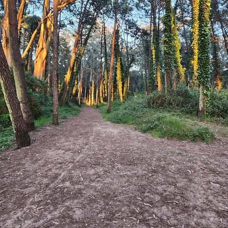 Gasthuis Playa De Covachos 2 3*
