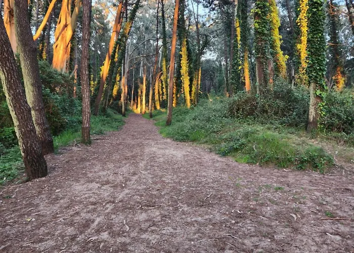 Gasthof Playa De Covachos 2 3*